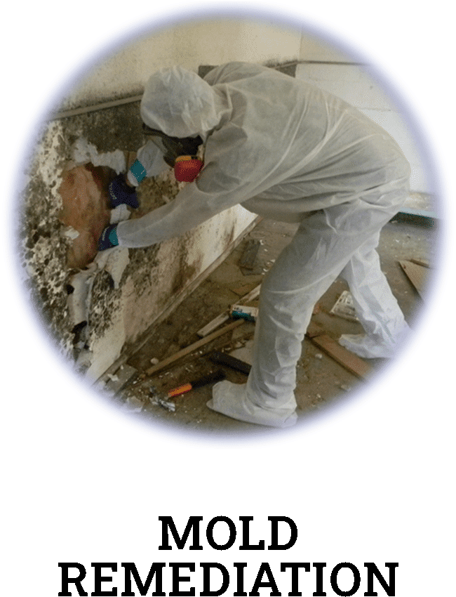 mold remediation and removal services in Tigard, Oregon